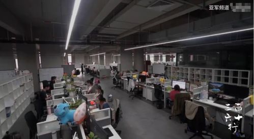 軟件服務之外的人生 流水線、群演與客服中的情感溫度