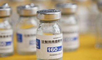 獸藥青霉素的安全用法 低成本、高效用藥指南